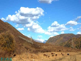 牧野